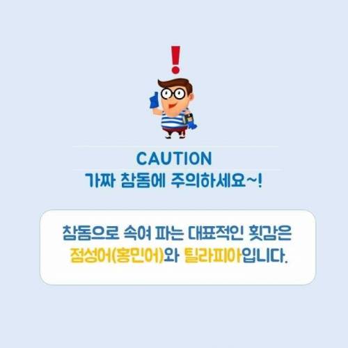 [스압]생선회 구별법.jpg