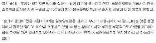 솔개의 환골탈태.jpg