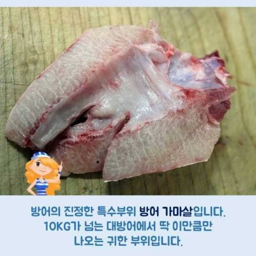 [스압]생선회 구별법.jpg