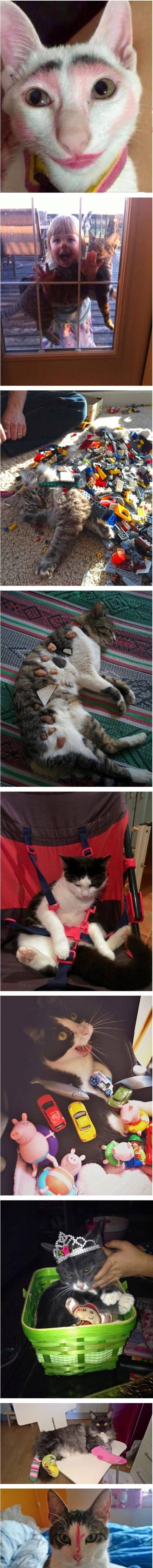 작은 집사와 주인만 같이 두면 안되는 이유.jpg