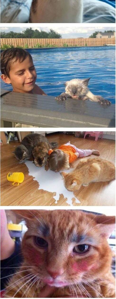 작은 집사와 주인만 같이 두면 안되는 이유.jpg