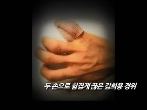 엘리베이터 문에 낀 강아지.jpg