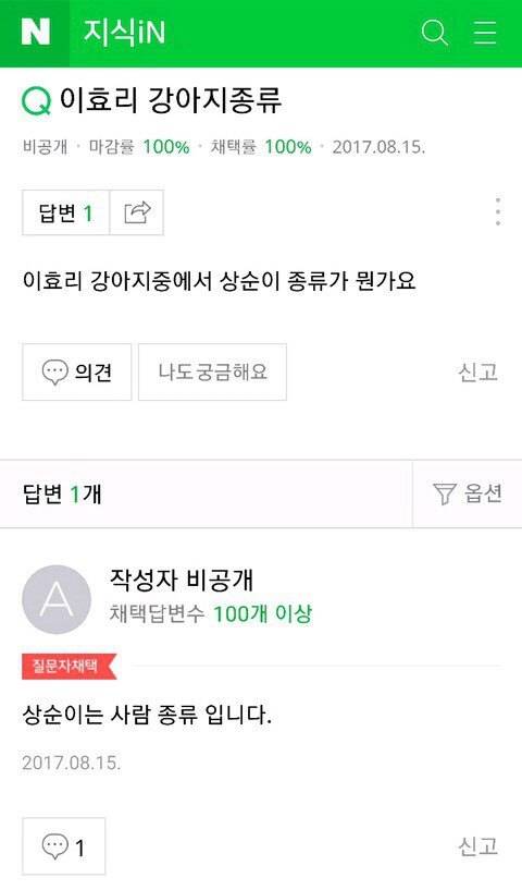 이효리 강아지 종류가 뭔가요?