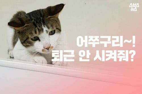 어쭈구리~! 퇴근 안 시켜줘?.jpg
