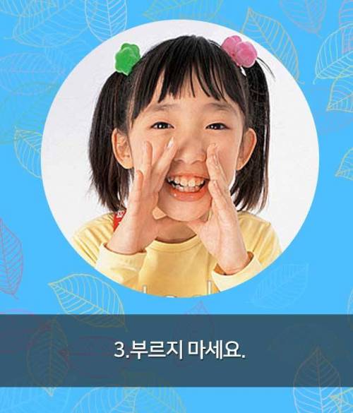 시각장애인 안내견 만나면, 이것만은 꼭!