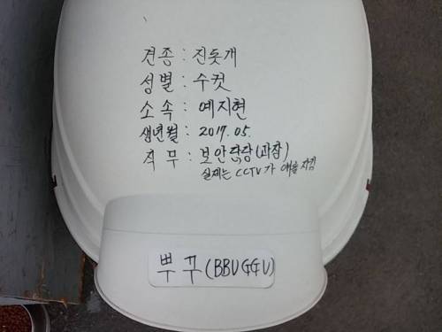 어린나이에 과장이라니..jpg
