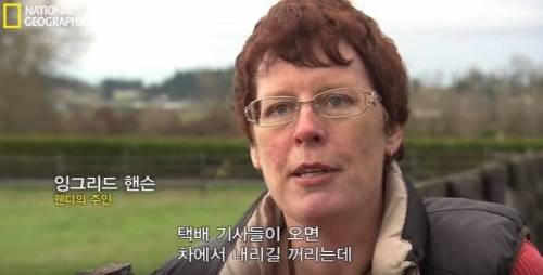 식스팩을 가진 멍멍이.jpg