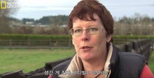 식스팩을 가진 멍멍이.jpg