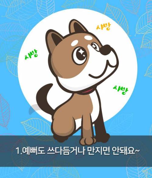 시각장애인 안내견 만나면, 이것만은 꼭!