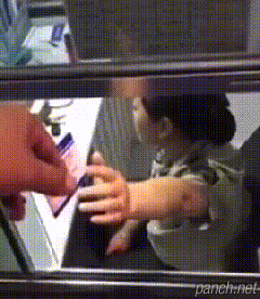 대륙의 신경전.gif