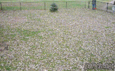 낙엽 청소.gif