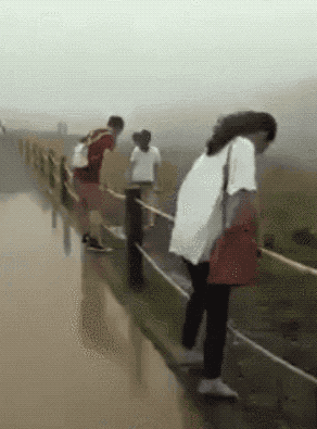 뜻밖의 모짜렐라.gif
