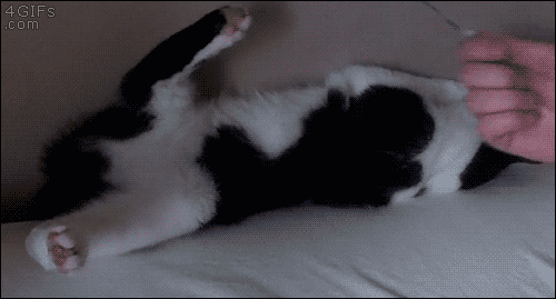 스르륵 쏙.gif