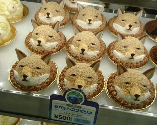 먹으면 현자가 되는 빵.jpg