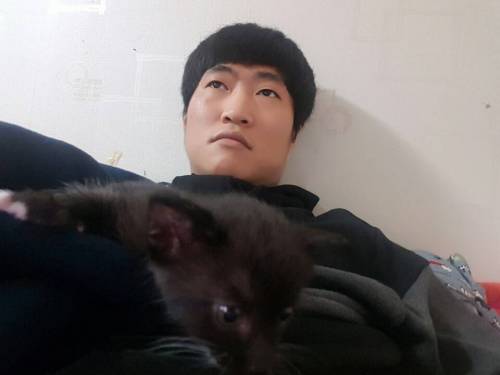 버려진 길냥이.jpg