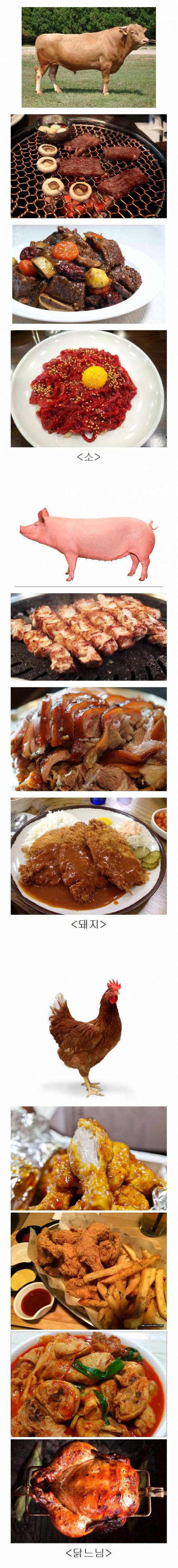 셋중 한가지가 영원히 멸종된다면...?.jpg