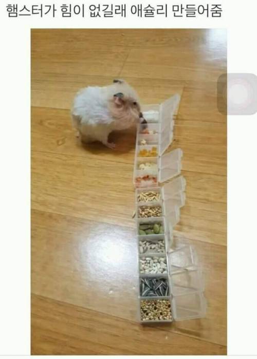 니가 뭘 좋아할지 몰라서...jpg