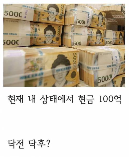 의외로 팽팽한 디시의 전자 VS 후자.jpg