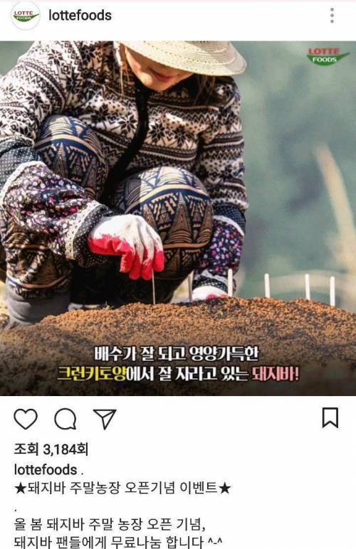 미쳐버린 롯데푸드.jpg