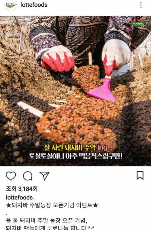 미쳐버린 롯데푸드.jpg