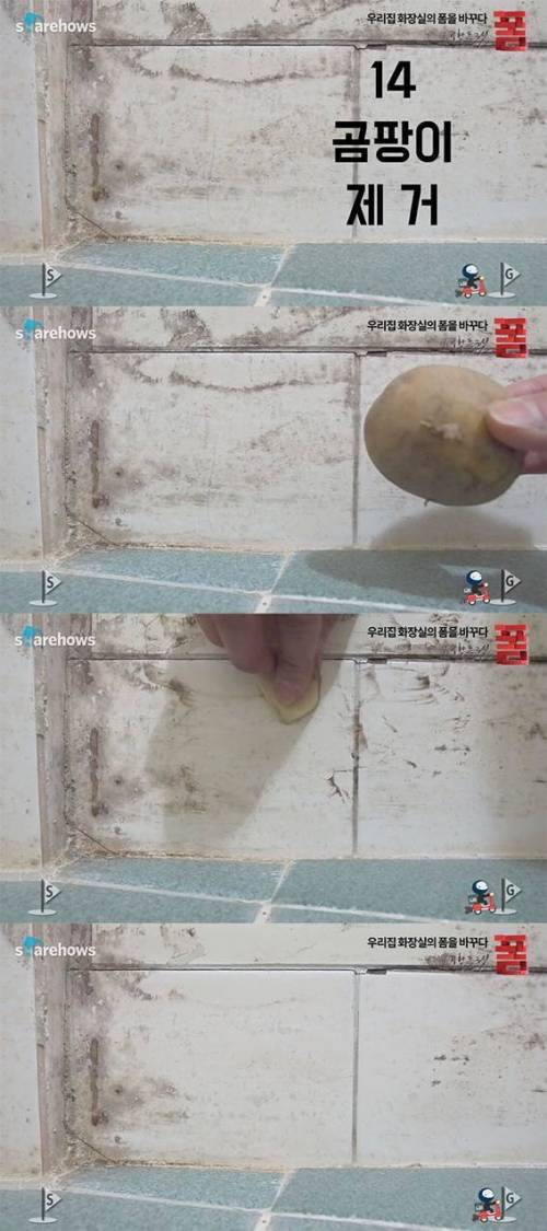 욕실관리 팁 16 가지.jpg