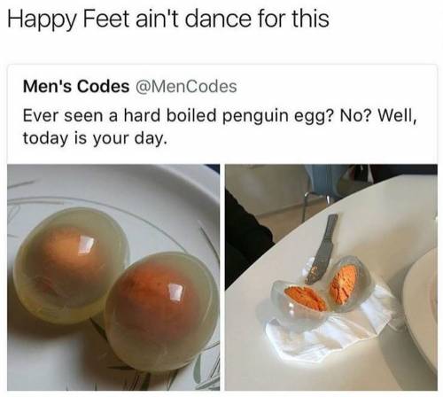 삶은 펭귄알.jpg