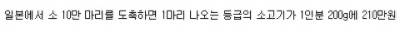 1인분 210만원 하는 일본 스테이크.jpg
