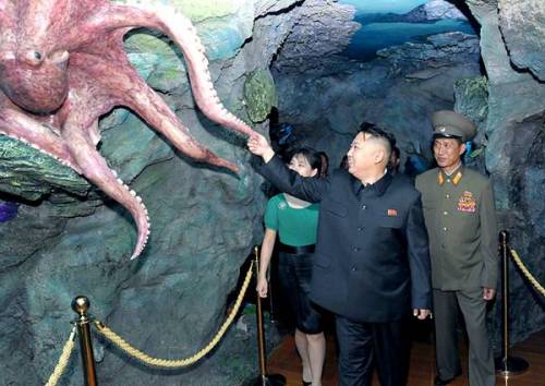 [스압] 북한 최고급 유원지.jpg