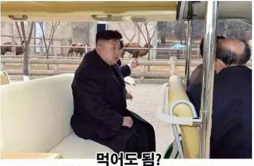 [스압] 북한 최고급 유원지.jpg