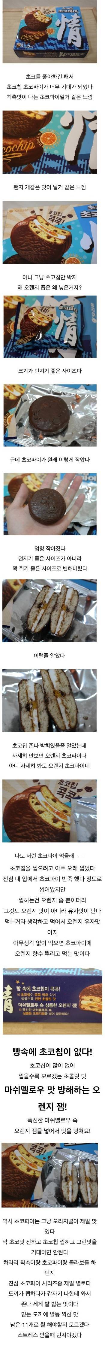 파워블로거의 초코칩 초코파이 리뷰.jpg