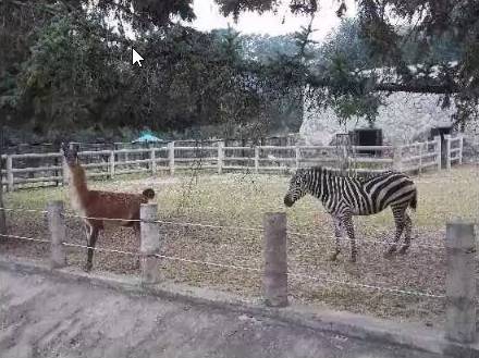 [스압] 북한 최고급 유원지.jpg