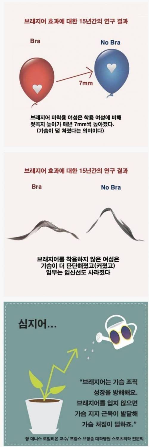 브래지어 효과에 대한 15년간의 연구 결과.jpg