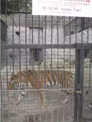 [스압] 북한 최고급 유원지.jpg