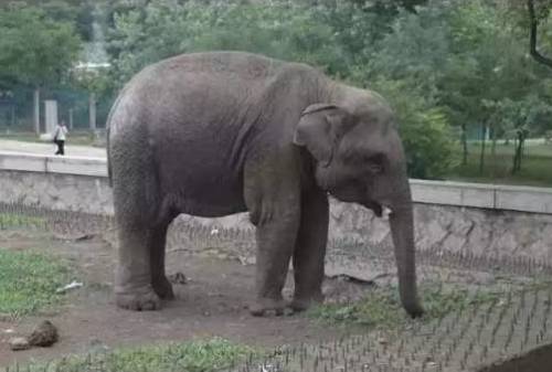 [스압] 북한 최고급 유원지.jpg