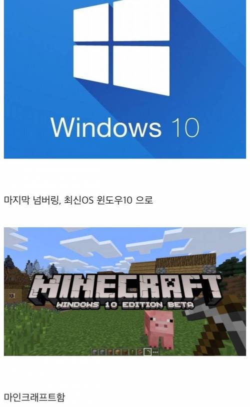 진정한 마인 더쿠.jpg