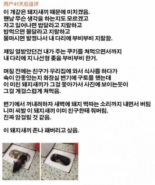 미니피그 쇼핑몰 후기.jpg