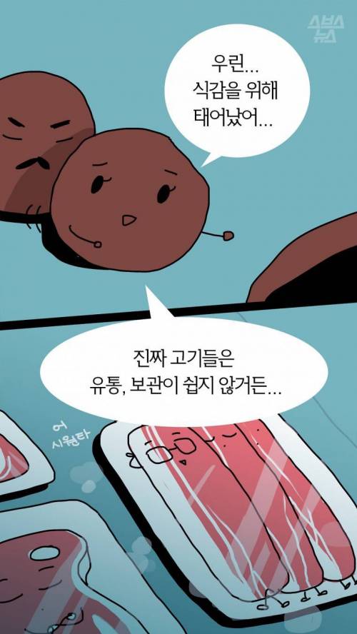 엄마.. 아빠... 나 고기 맞아? .jpg