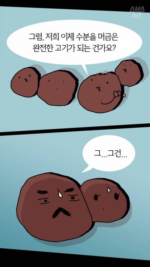 엄마.. 아빠... 나 고기 맞아? .jpg