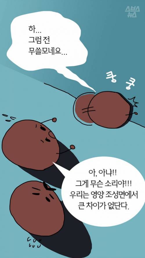 엄마.. 아빠... 나 고기 맞아? .jpg