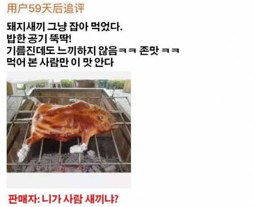 미니피그 쇼핑몰 후기.jpg