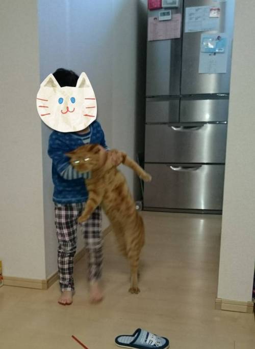 망한 고양이 사진 대회 출품작.jpg