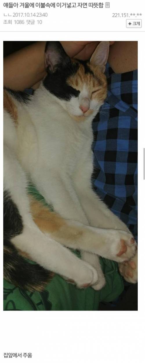 ??? : 얘들아 이불속에 이거 넣고 자면 따뜻함..jpg