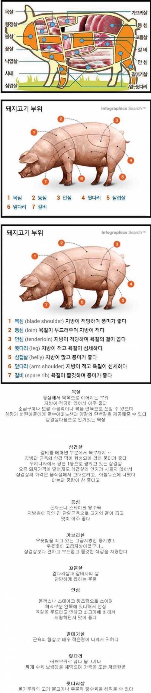 돼지고기 부위별 특징.jpg