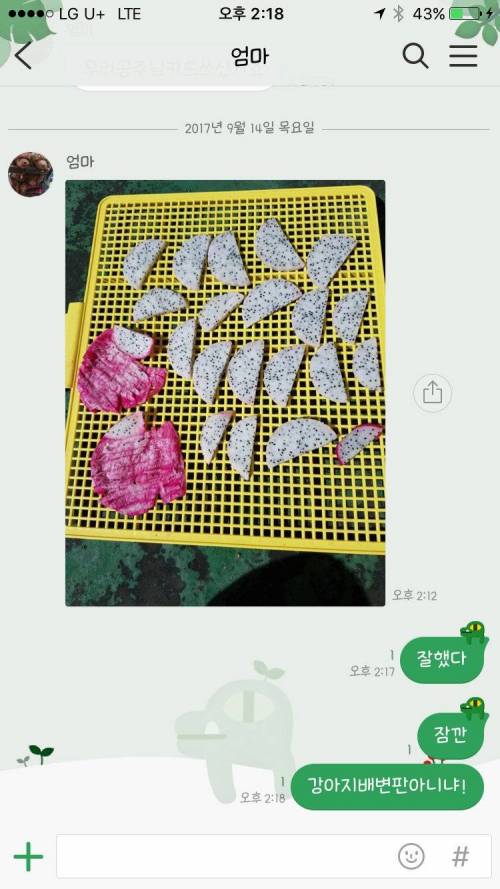 ??? : 이 판 쓸모 있구나..jpg