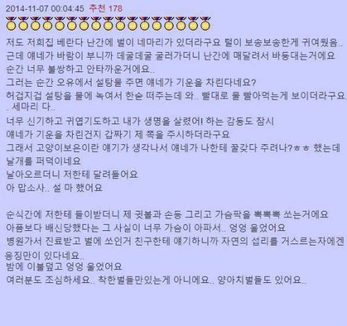 벌의 보은.jpg