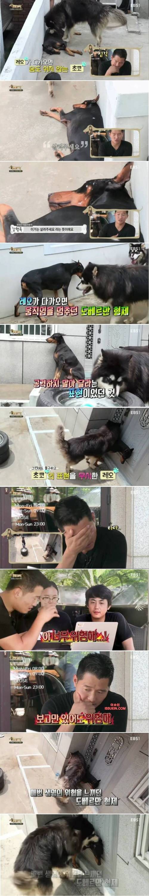 서열을 만들면 절대 안된다.jpg