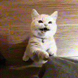 제발 가지마~~.gif