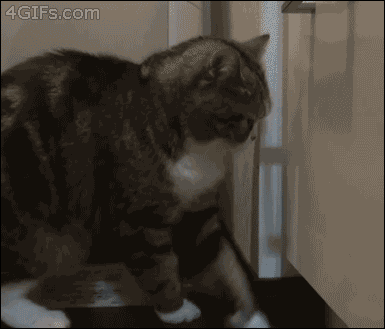 난 이제 자러간다.gif