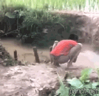 진흙탕 세바보.gif