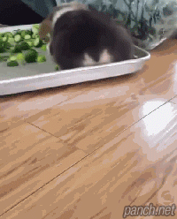 어딜만지는거야!!.gif